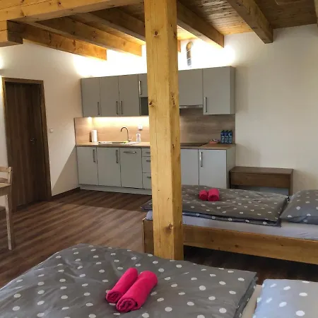 Anico Apartmany Dolni Benesov Exterior photo