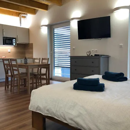 Anico Apartmany Dolni Benesov Exterior photo