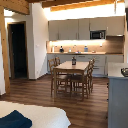 Anico Apartmany Dolni Benesov Exterior photo