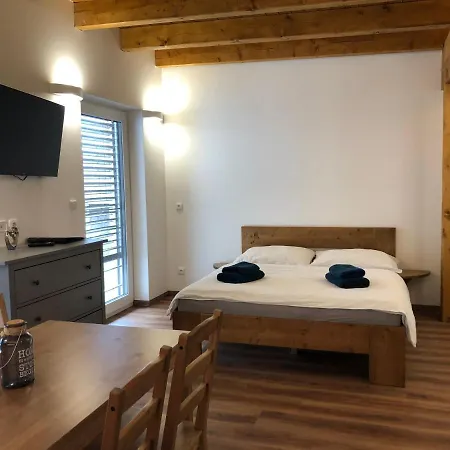 Anico Apartmany Dolni Benesov Exterior photo