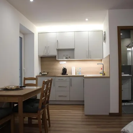 Anico Apartmany Dolni Benesov Exterior photo